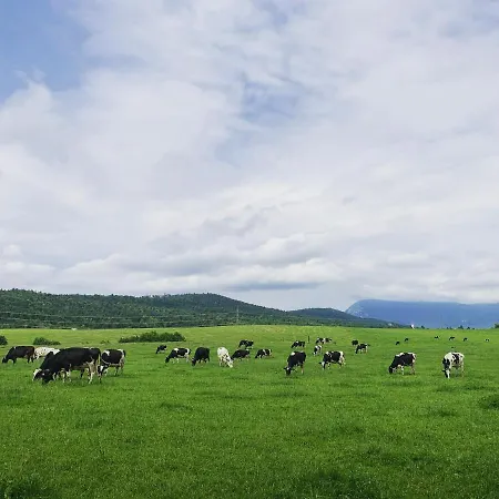 Appartamento Prestranek Castle Estate