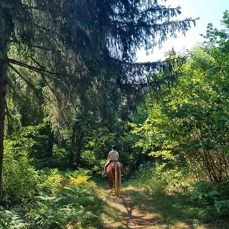 Prestranek Castle Estate Apartmán