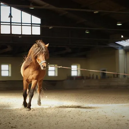 Prestranek Castle Estate Appartamento