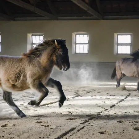 Prestranek Castle Estate Appartamento