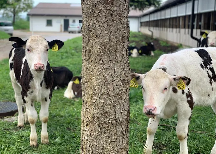 Appartamento Prestranek Castle Estate *