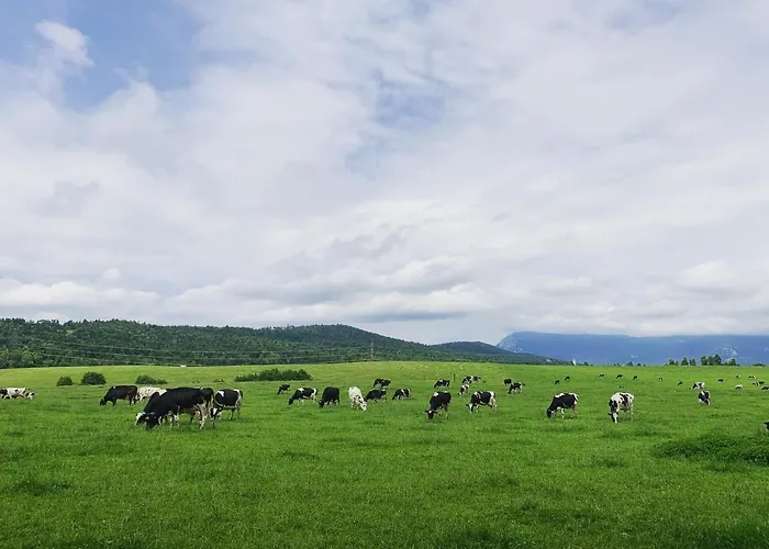 Appartamento Prestranek Castle Estate