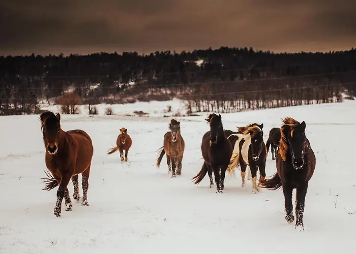Prestranek Castle Estate Appartamento Postumia
