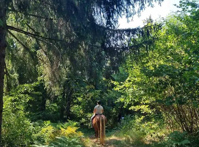 Prestranek Castle Estate Appartamento