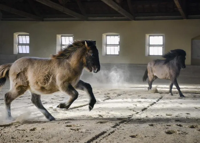 Prestranek Castle Estate Appartamento